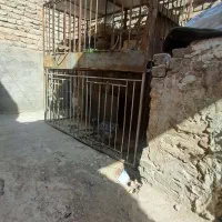 قفس تمام میلگرد|لوازم جانبی حیوانات|تربت جام, شاد|دیوار