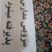 سرویس مدرسه با راننده خانم