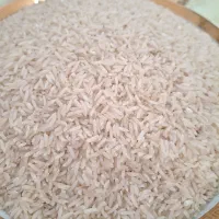 برنج طارم هاشمی|خوردنی و آشامیدنی|ساری, |دیوار