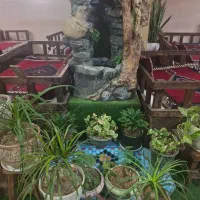 تخت سنتی