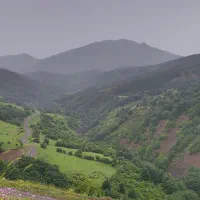 زمین مسکونی و باغی قیمت مناسب