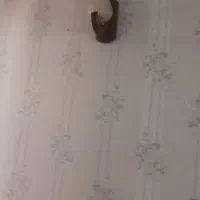 لوستر چوبی|لوستر و چراغ آویز|نوشهر, |دیوار