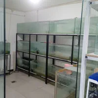 کسب و کار|فروشگاه و مغازه|سامان, |دیوار