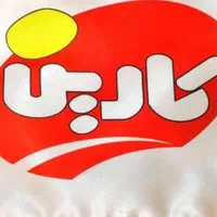 استخدام بازاریاب شرکت کارین