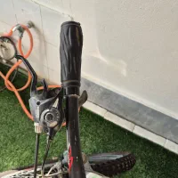 دوچرخه ویوا|دوچرخه، اسکیت، اسکوتر|گنبد کاووس, |دیوار