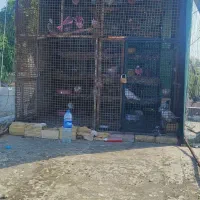 قفس آهنی بزرگ ۱۳ میل