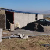 سالن دامداری شخصی سازی شده