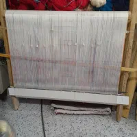 زرنیم سالاری جدید