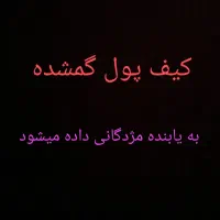 کیف پول گمشده