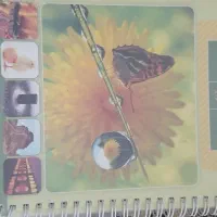 کتاب|کتاب و مجله آموزشی|قم, علی آباد سعدگان|دیوار