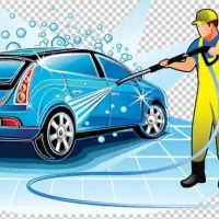 استخدام کارواش
