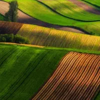 فروش زمین کشاورزی