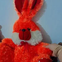 چندتا عروسک مناسب کادو و کوچولوها یکجا|اسباببازی|ارومیه, |دیوار