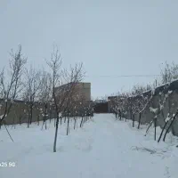 باغ|فروش خانه و ویلا|رضویه, |دیوار