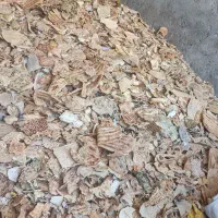 نون خشک تمیز بدون کپک 27000