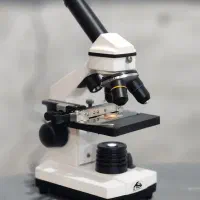 تدریس خصوصی دروس ششم و ابتدایی