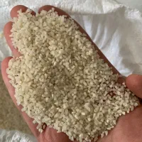 برنج و نیم دانه طارم هاشمی|خوردنی و آشامیدنی|قائمشهر, |دیوار