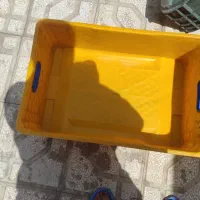 مرغ وماهی