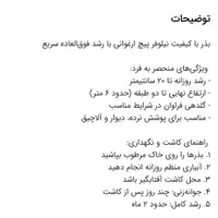 بذر گل نیلوفر رونده ارغوانی|گل و گیاه طبیعی|تهران, بهارستان|دیوار