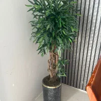 درختچه مصنوعی آمستل
