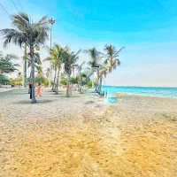 آفر تور هوایی کیش|خدمات حمل و نقل|یزد, |دیوار