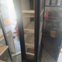 جفت کن پرنده|لوازم جانبی حیوانات|لنجان, |دیوار