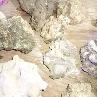 انواع سنگها صدفها و خزها