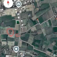 باغ-باغچه-جمع-و-جور-با-انواع-درختان-جوان