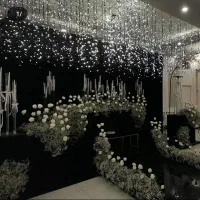 تولید واجرای ریسه LED12vبا یکسال ضمانت|ریسه و چراغ تزئینی|تهران, زعفرانیه|دیوار