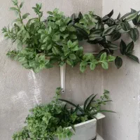 گل طبیعی