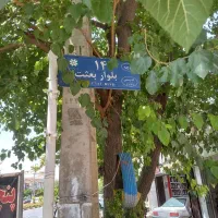 مشا ر کت   د ر   سا خت    یا    تها تر    نمی کنیم