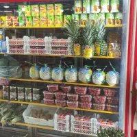 یخچال ویترینی|فروشگاه و مغازه|سیرجان, |دیوار