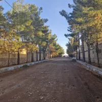 زمین با مجوز چهار دیواری جاده باغرود
