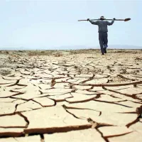 استخدام برای باغبانی و کشاورزی