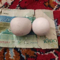 سنگ آسیاب الماس|کلکسیون اشیاء عتیقه|شیراز, سلطان آباد|دیوار