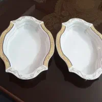 دوعدد مرغ خوری شیک