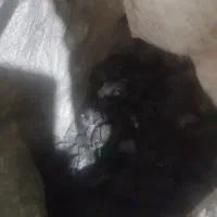 گونی ذغال