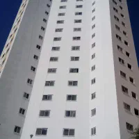 رنگ نما.پیچ رولپلاک نماشویی 60٪ ارزانتر از داربست