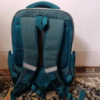کیف divi bear|کیف، کفش، کمربند|شیراز, سجادیه|دیوار
