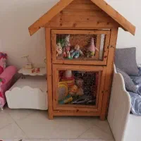 قفس پرنده