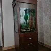 اکواریوم|ماهی|فردوسیه, |دیوار