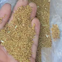 بذر یونجه(سبسک)