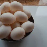 تخم اردک محلی