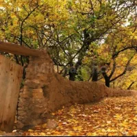 سویت-اجاره-یک-خوابه