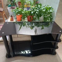 میز تلوزیون