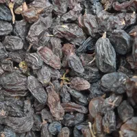 مویزبش دشمن زیاری|عمده‌فروشی|شیراز, دارالرحمه|دیوار