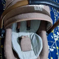 کریر نو  دو بار استفاده شده|کالسکه و لوازم جانبی|قدس, شهر‌قدس|دیوار