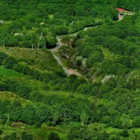 استخدام کشاورز وباغبان شبانه روزی