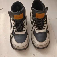 چهار جفت کفش کاملا نو|کیف، کفش، کمربند|پرند, فاز ۵|دیوار