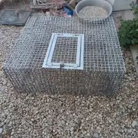 گنجه کبوتر|لوازم جانبی حیوانات|شیراز, شهرک کوشکک|دیوار